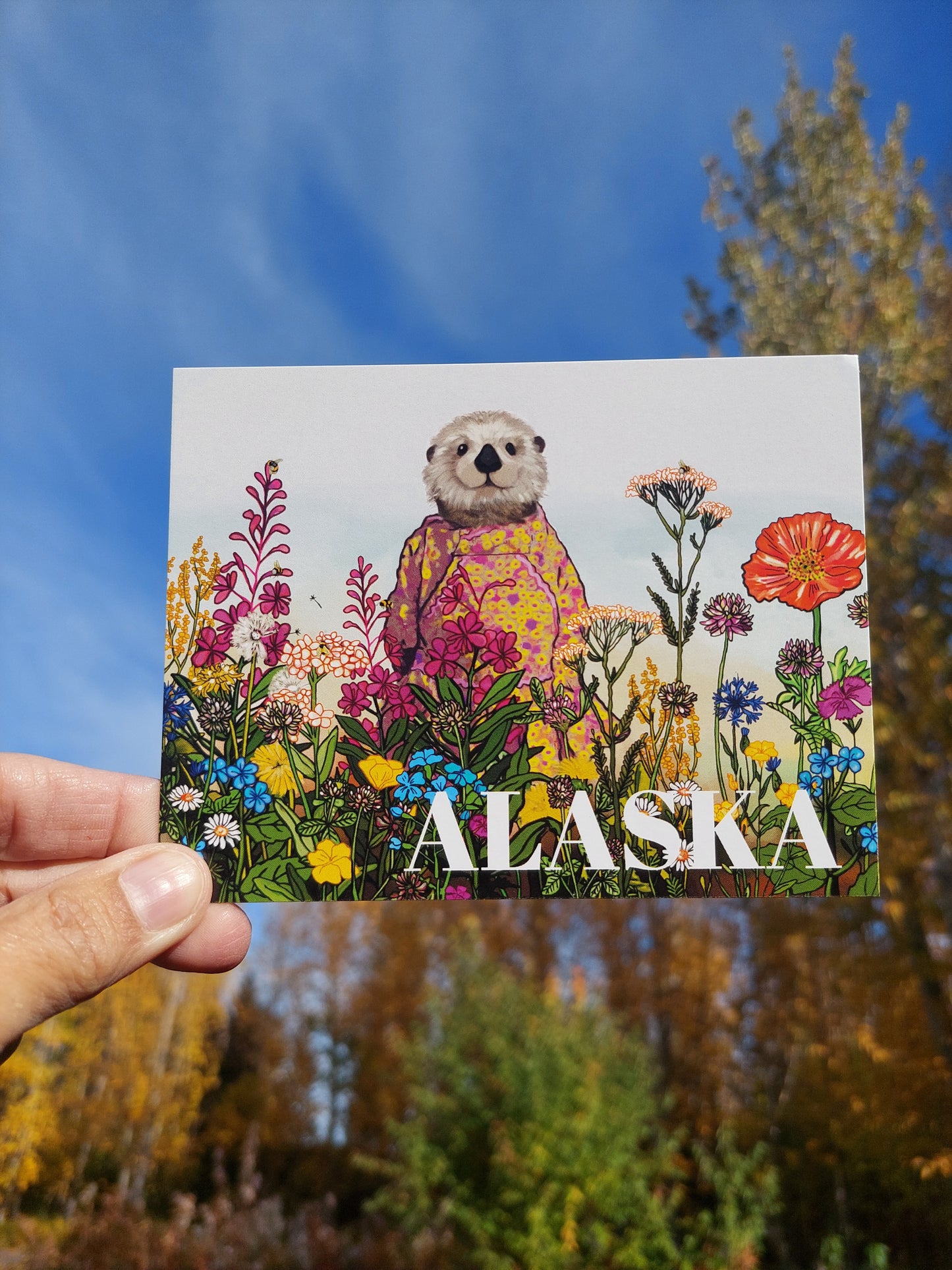 Alaska Otter Kuspuk Postcard