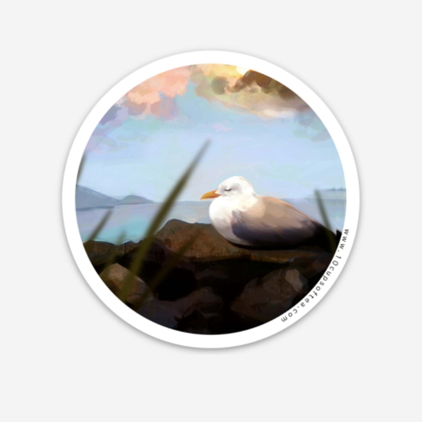 Resting seagull