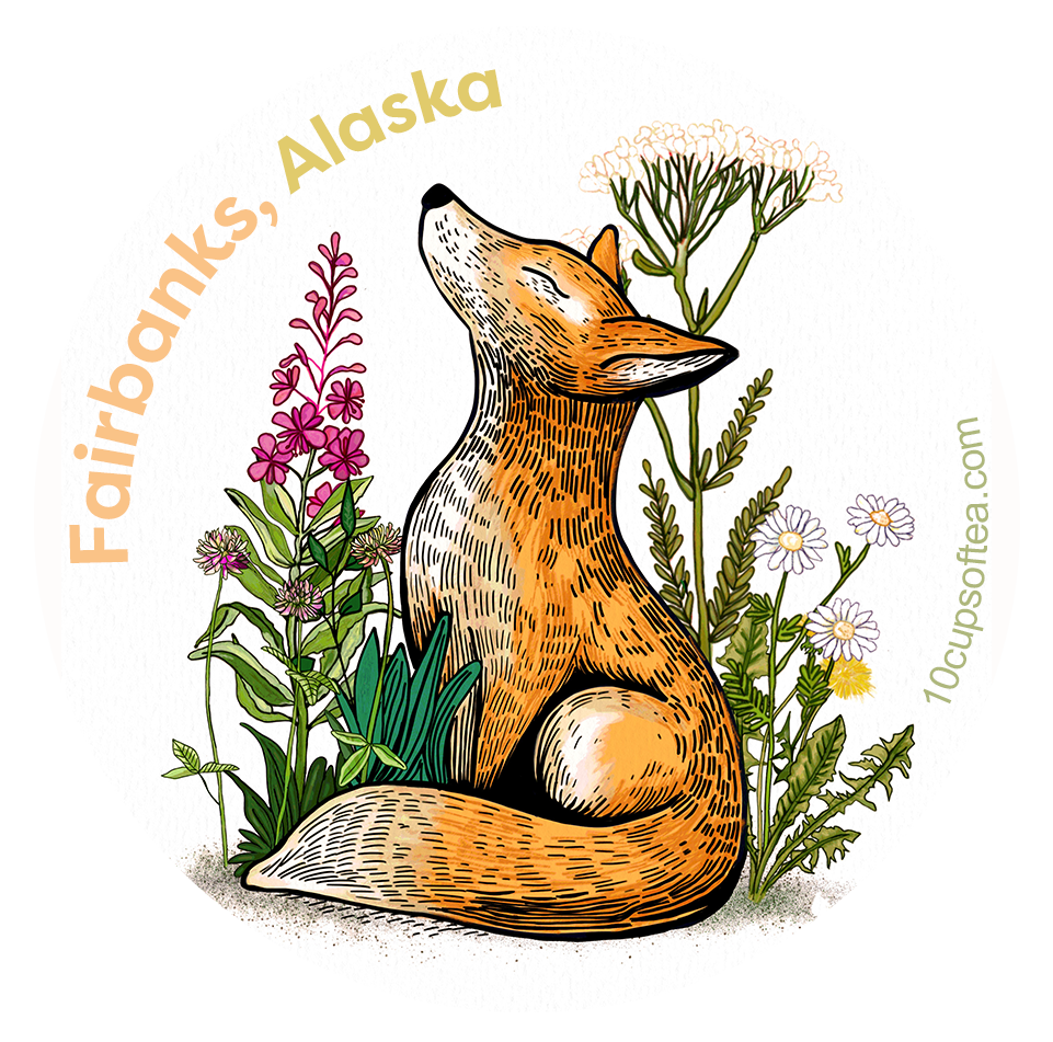 Fairbanks fox