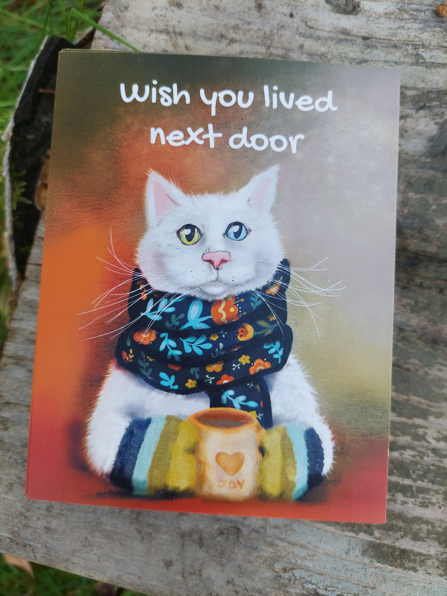Cat Wish you live next door