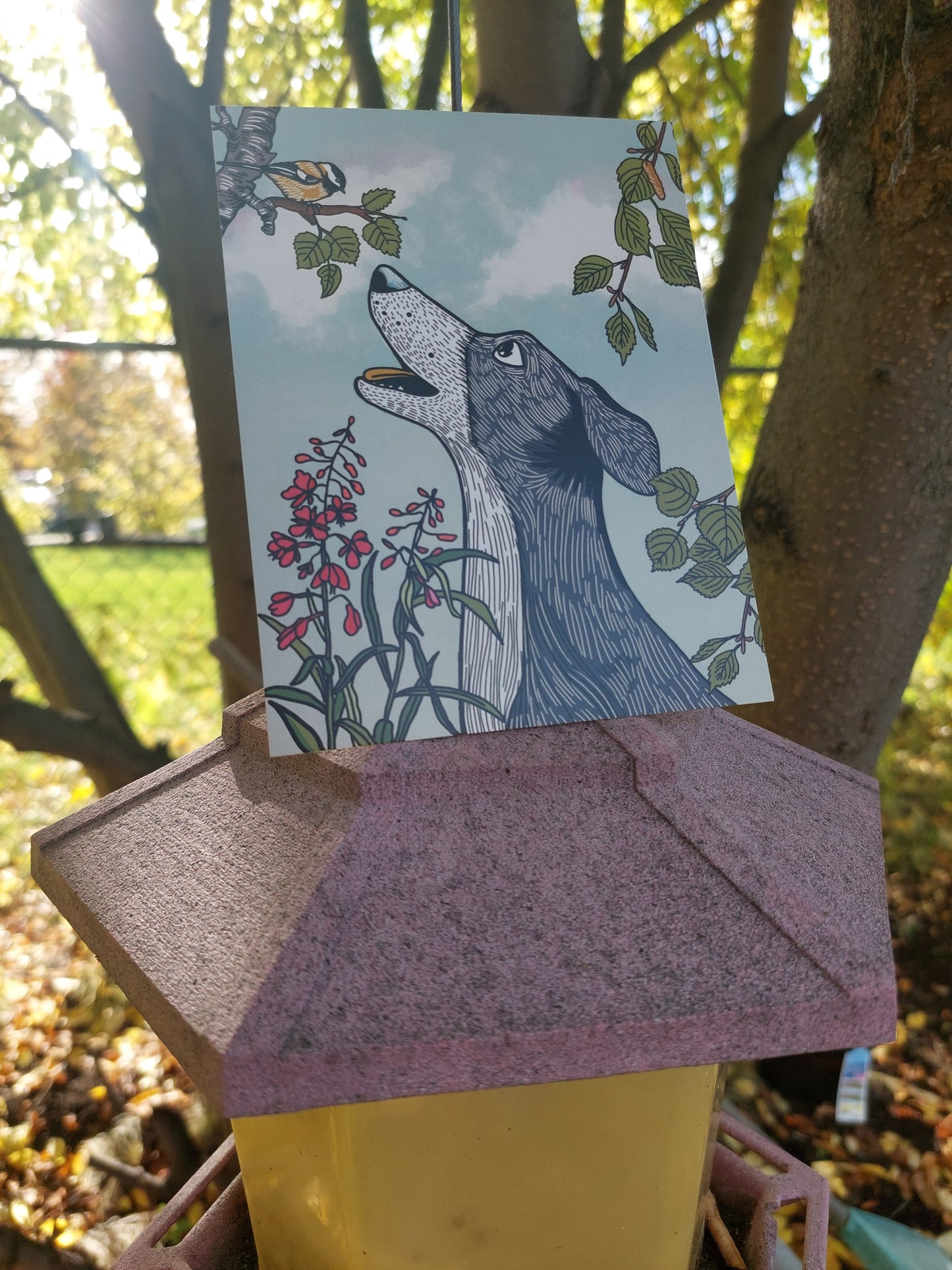 Dog and Chickedee Postcard