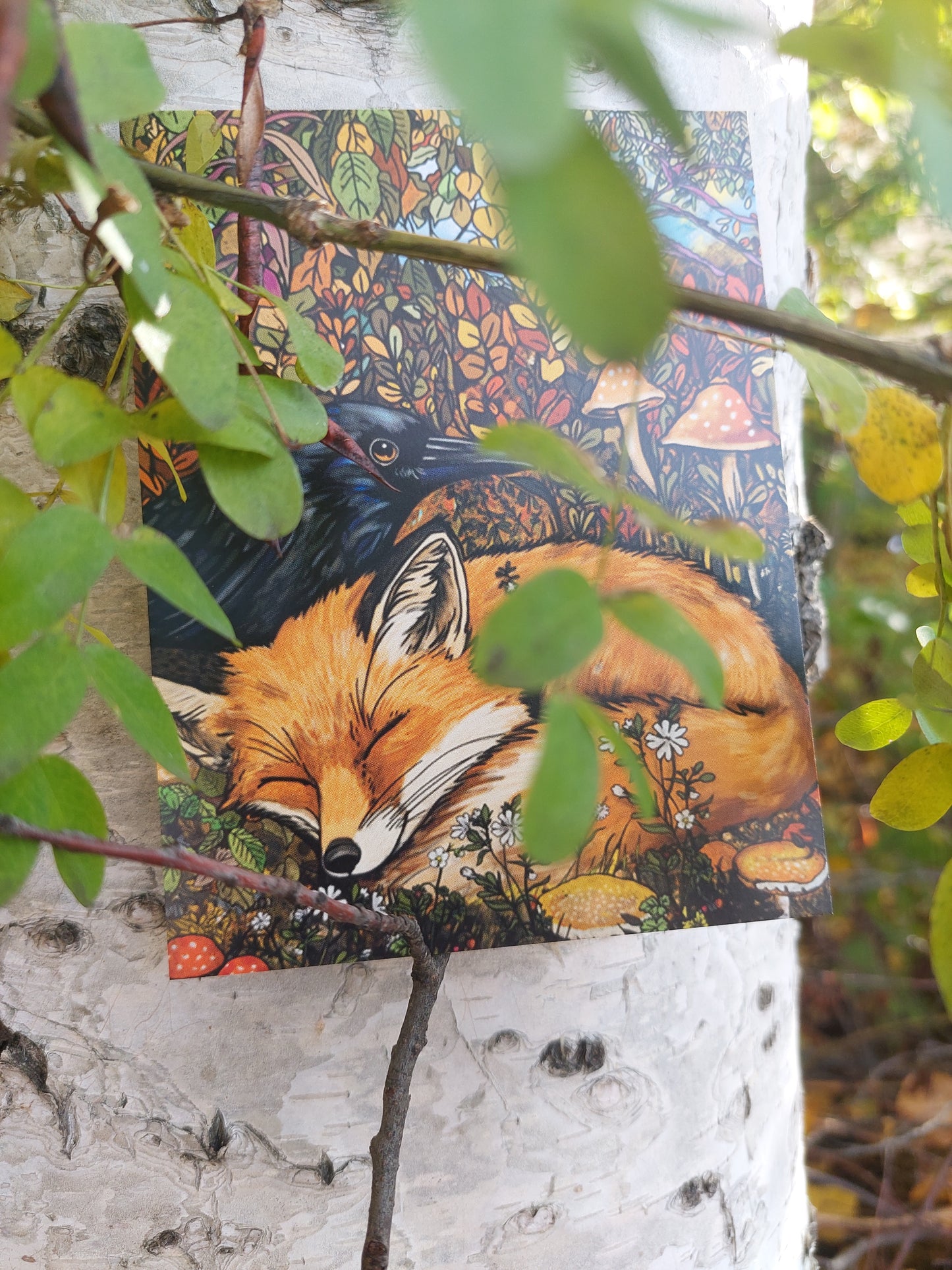 Fox and Raven