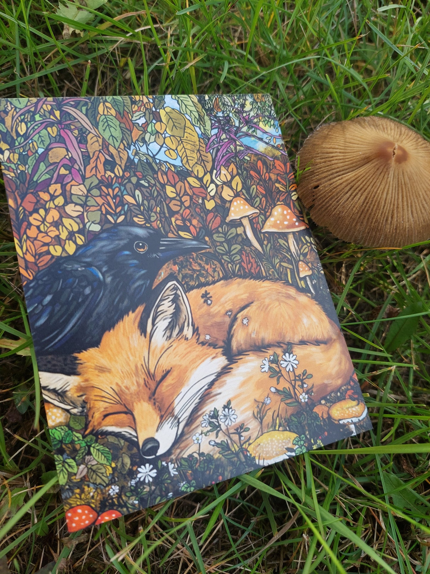 Fox and Raven