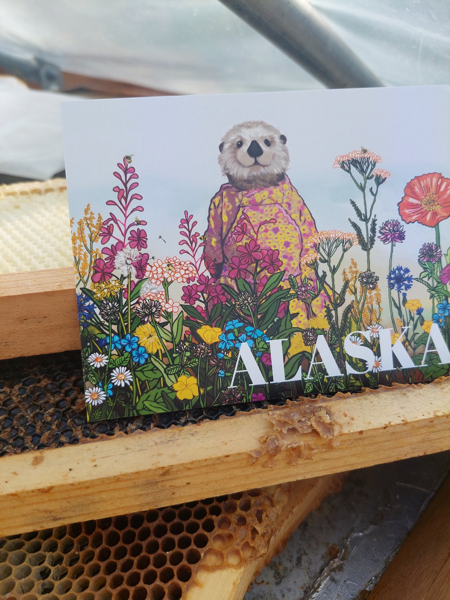 Alaska Otter Kuspuk Postcard
