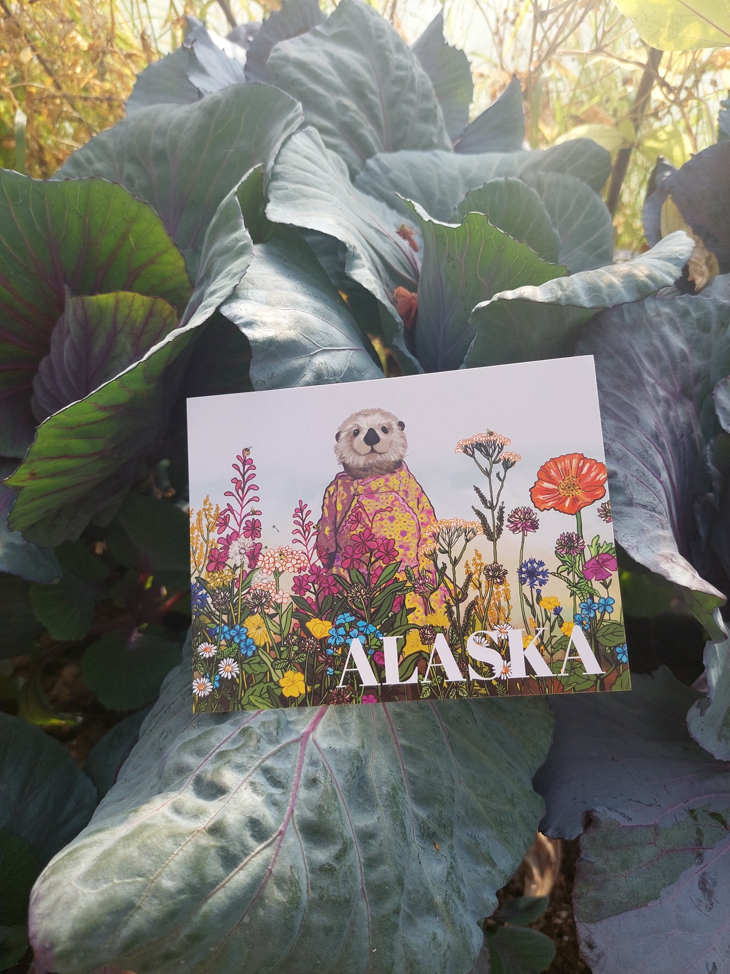 Alaska Otter Kuspuk Postcard
