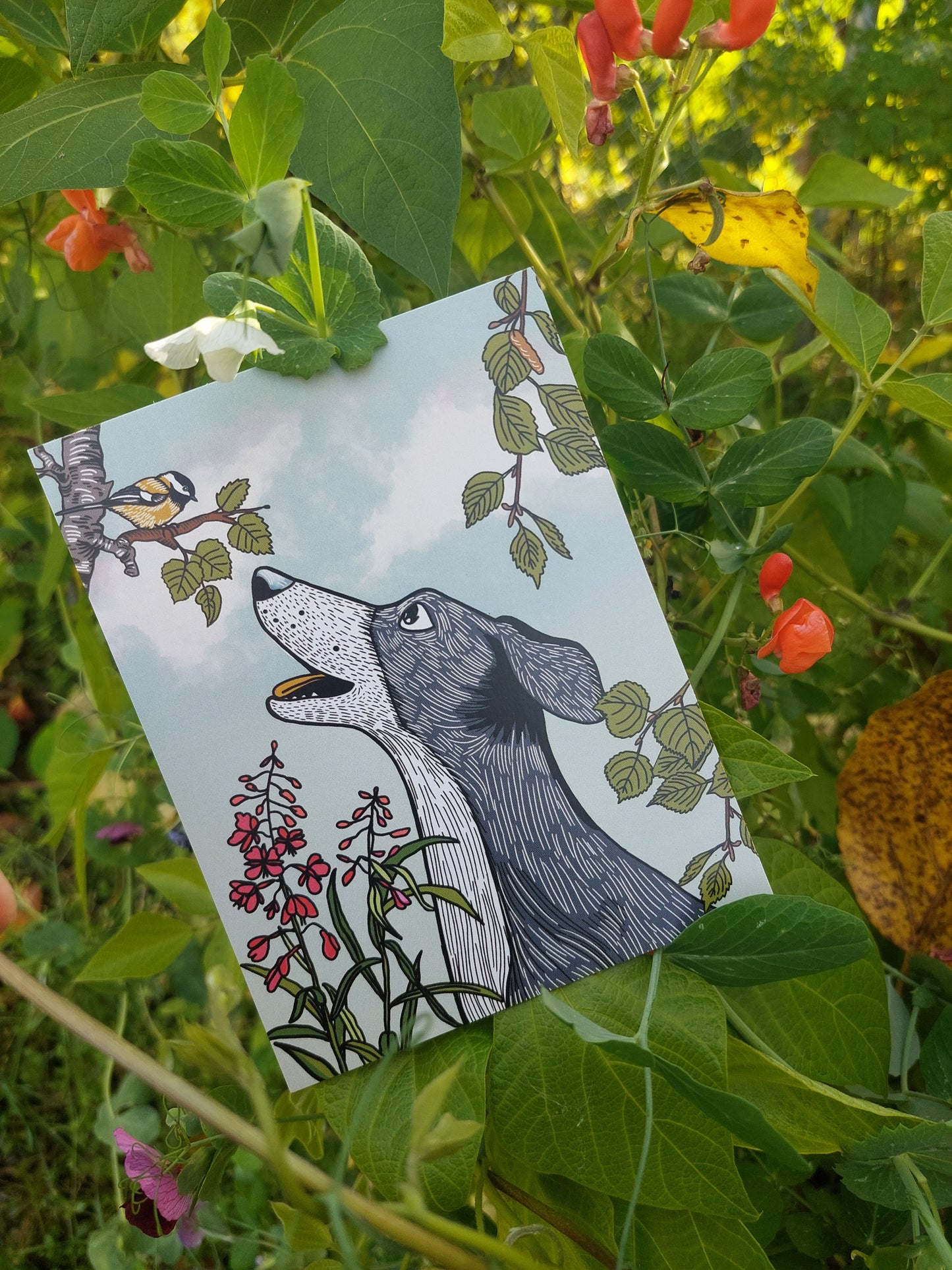 Dog and Chickedee Postcard