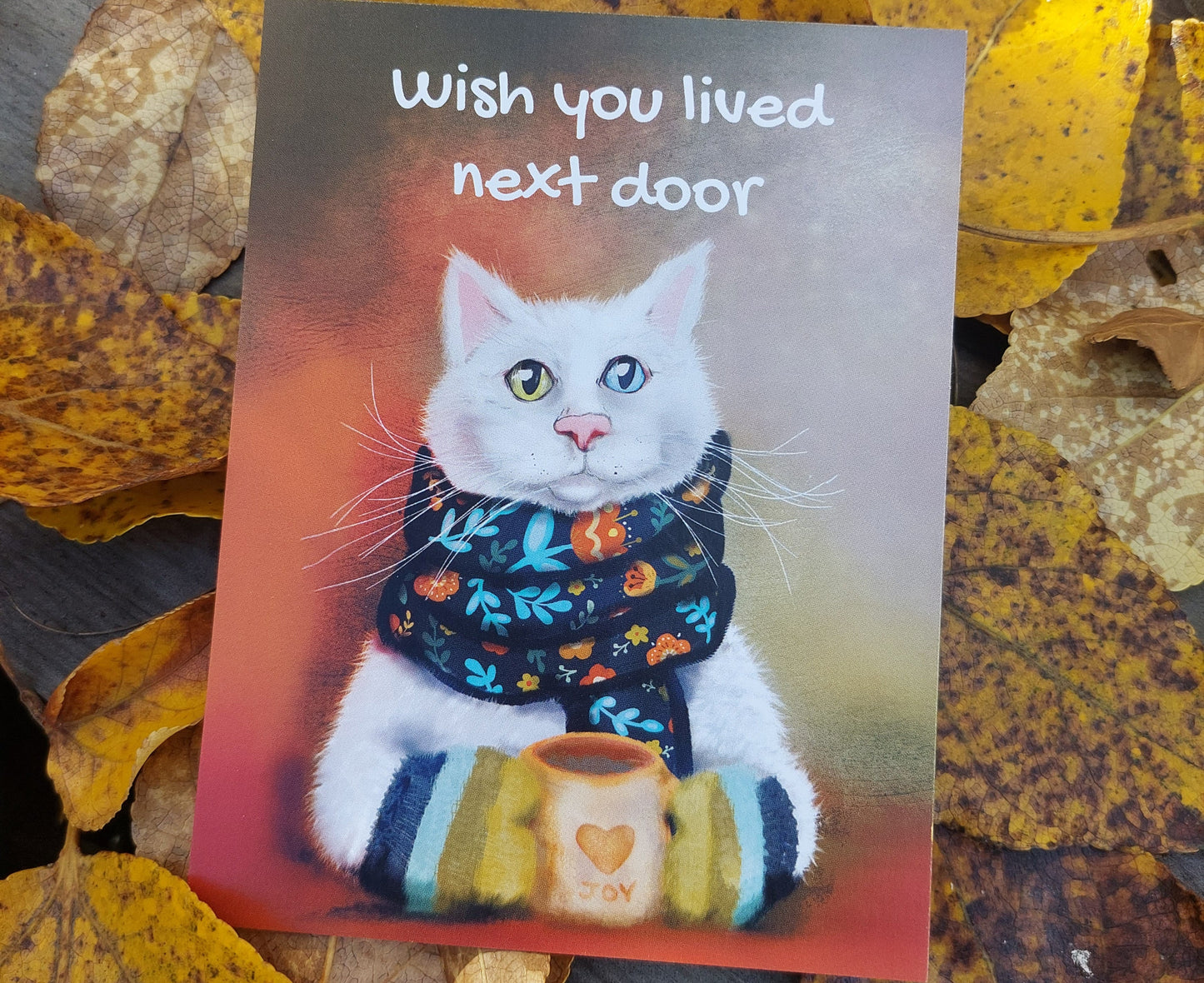 Cat Wish you live next door
