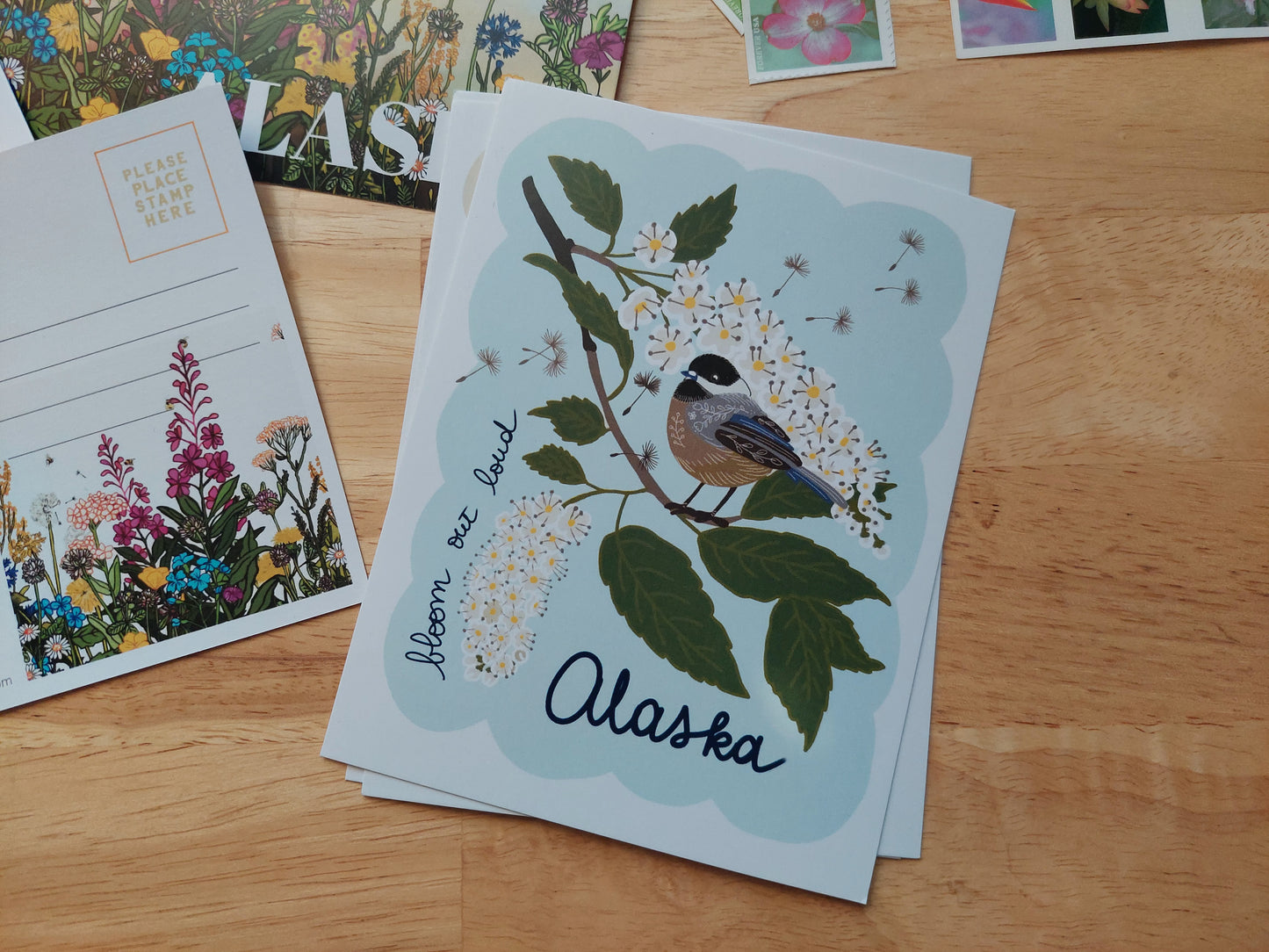 Chickadee Bloom out Loud