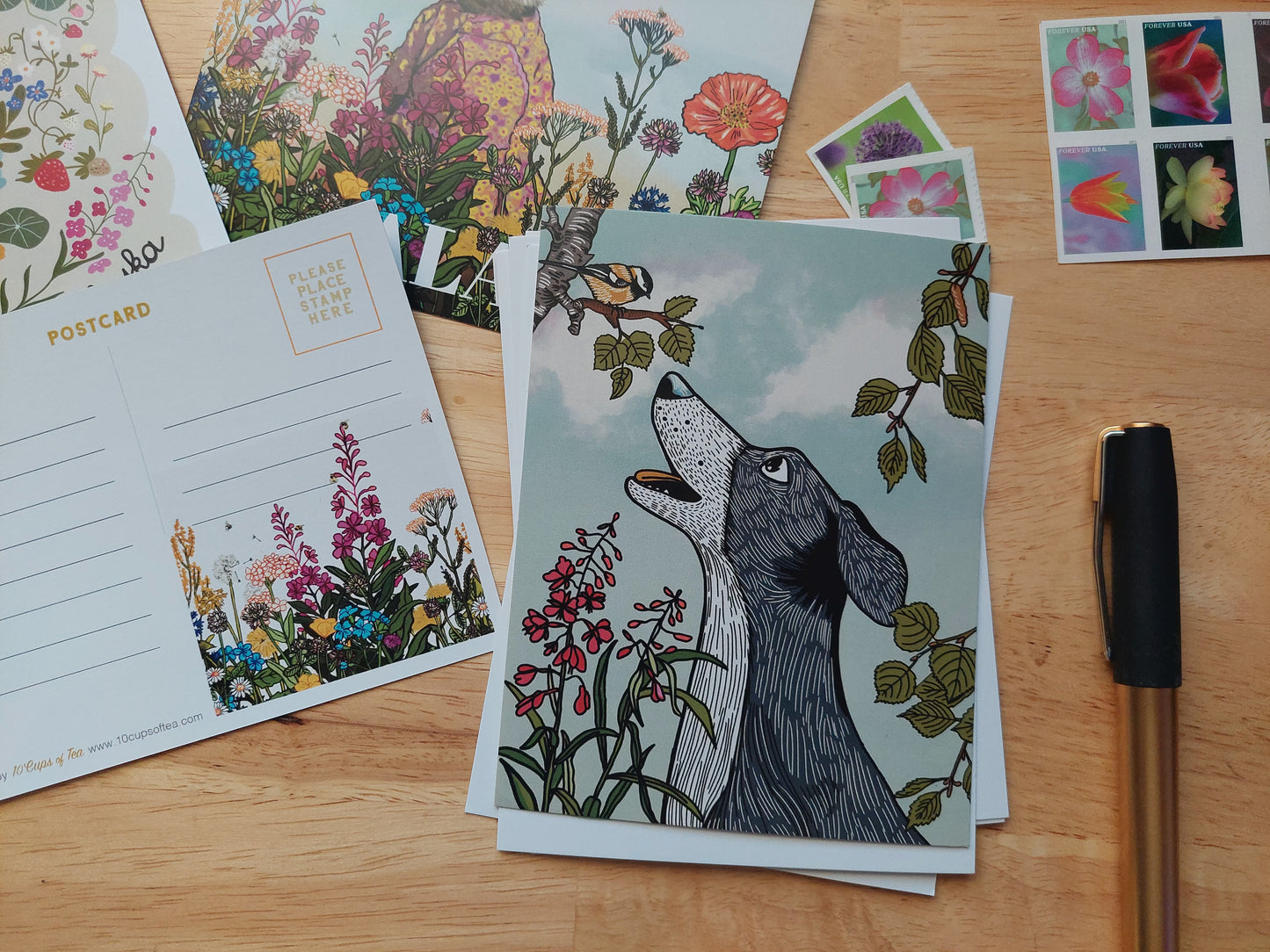 Dog and Chickedee Postcard