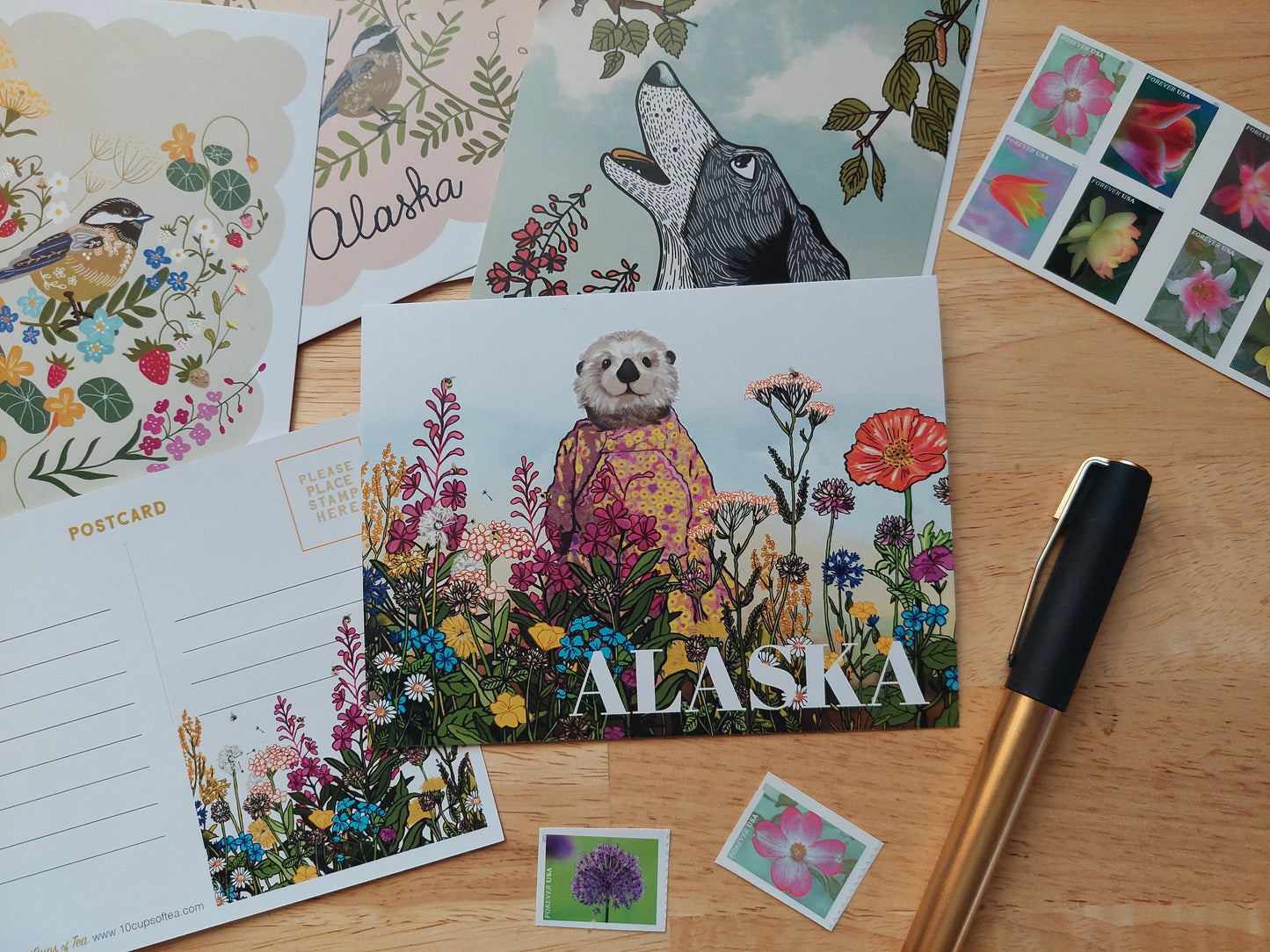 Alaska Otter Kuspuk Postcard