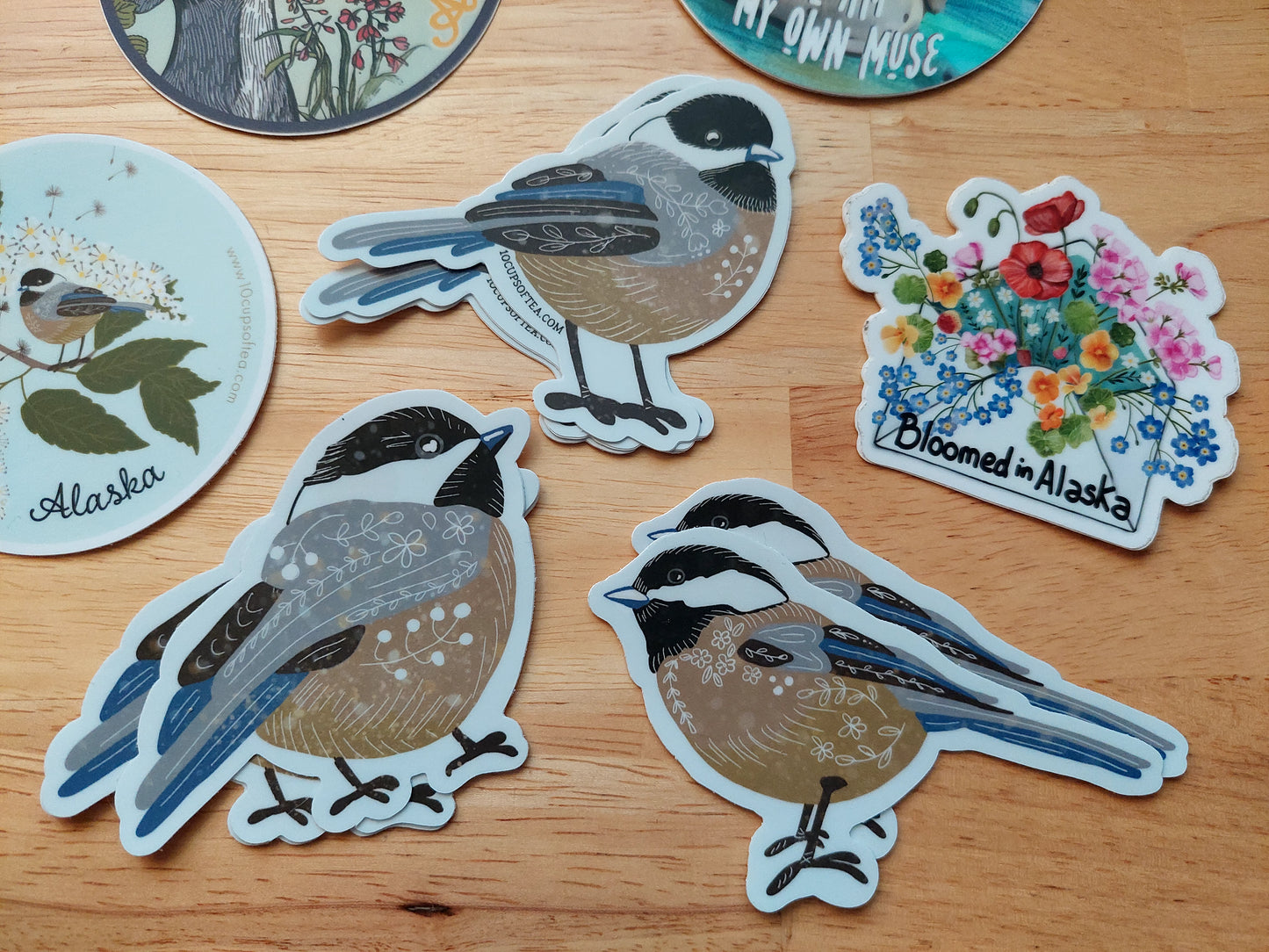 Chickadee Birds Collection