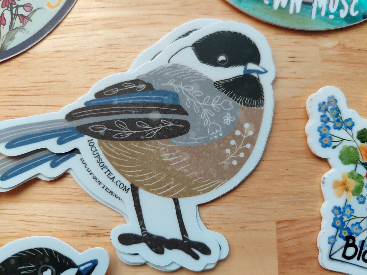 Chickadee Birds Collection