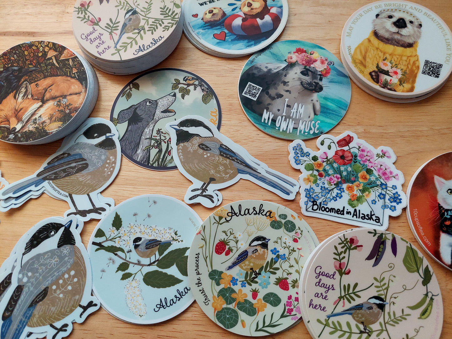 Chickadee Round 2026 collection