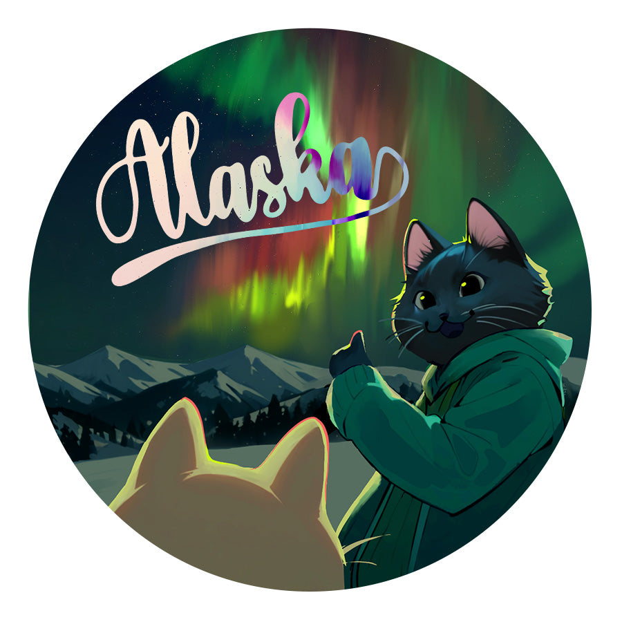 Cats and Auroras