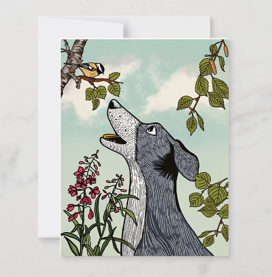 Chickadee and Dog
