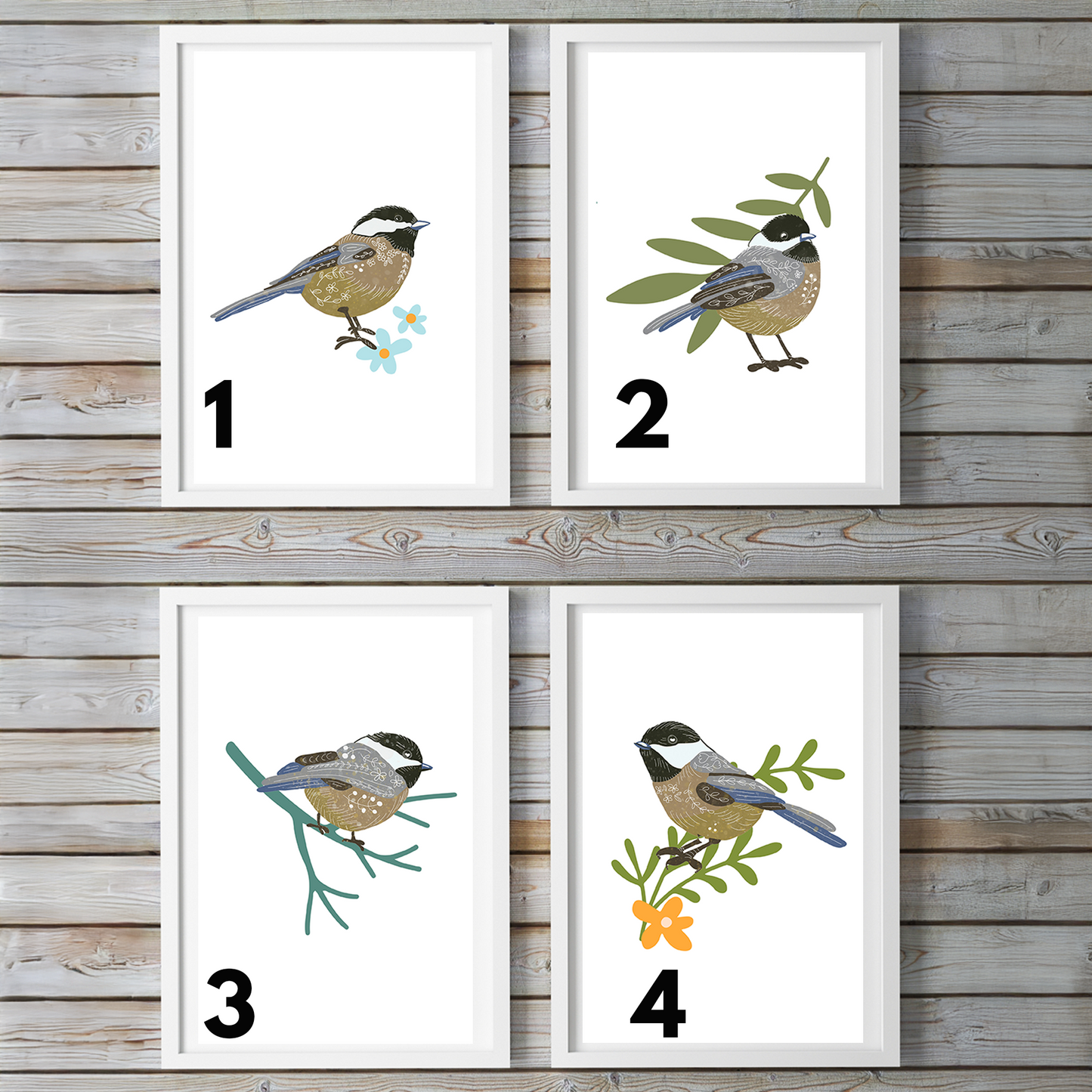 Chickadee Birds