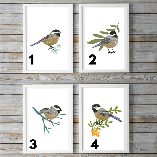 Chickadee Birds