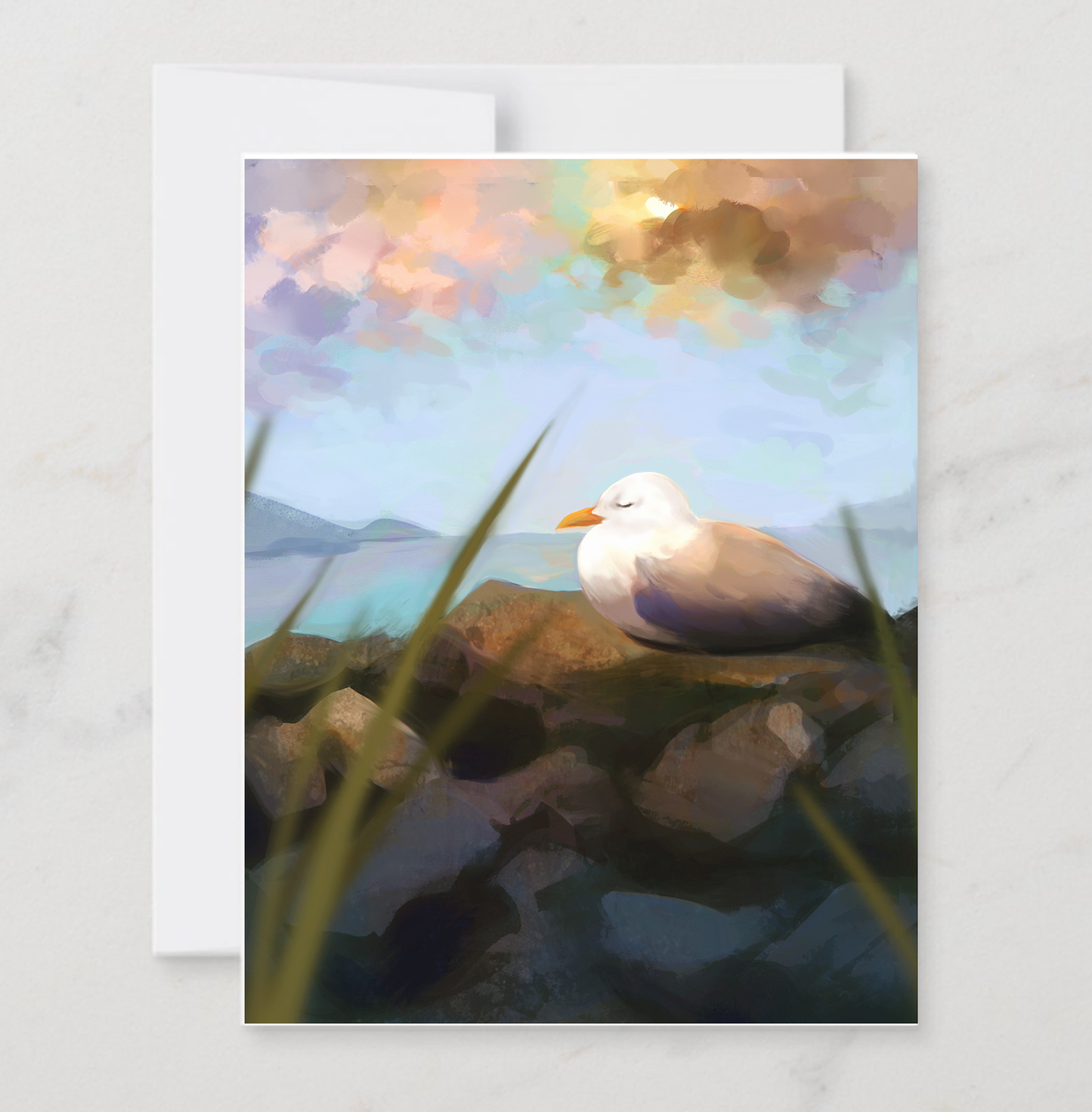 Seagul on the rocks