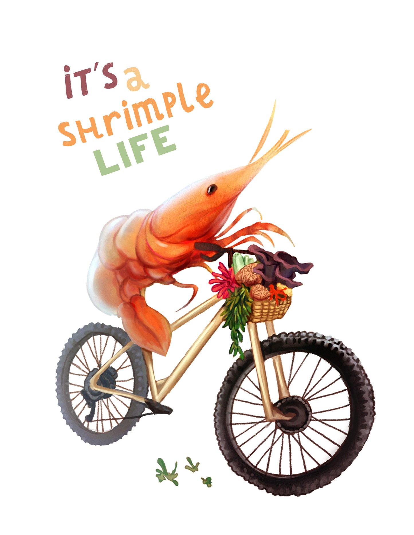 Shrimple life
