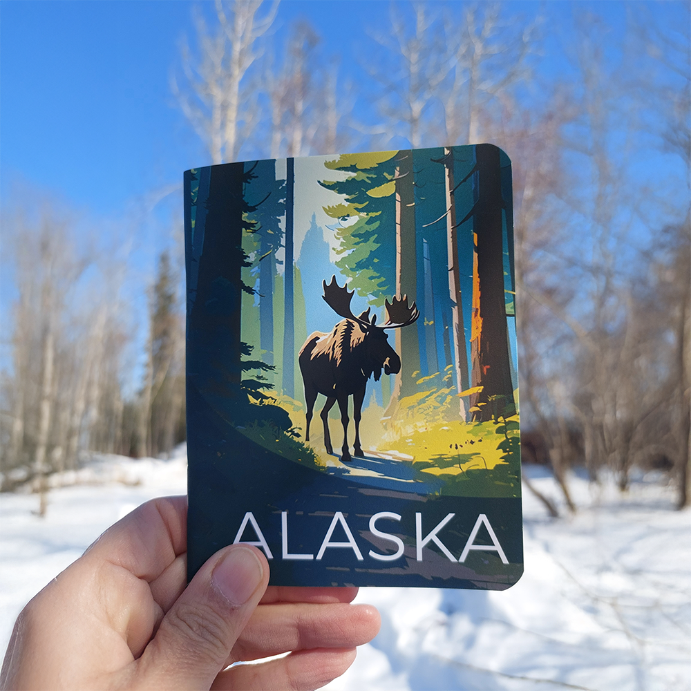 Alaska Tour Notebooks