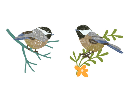 Chickadee Birds