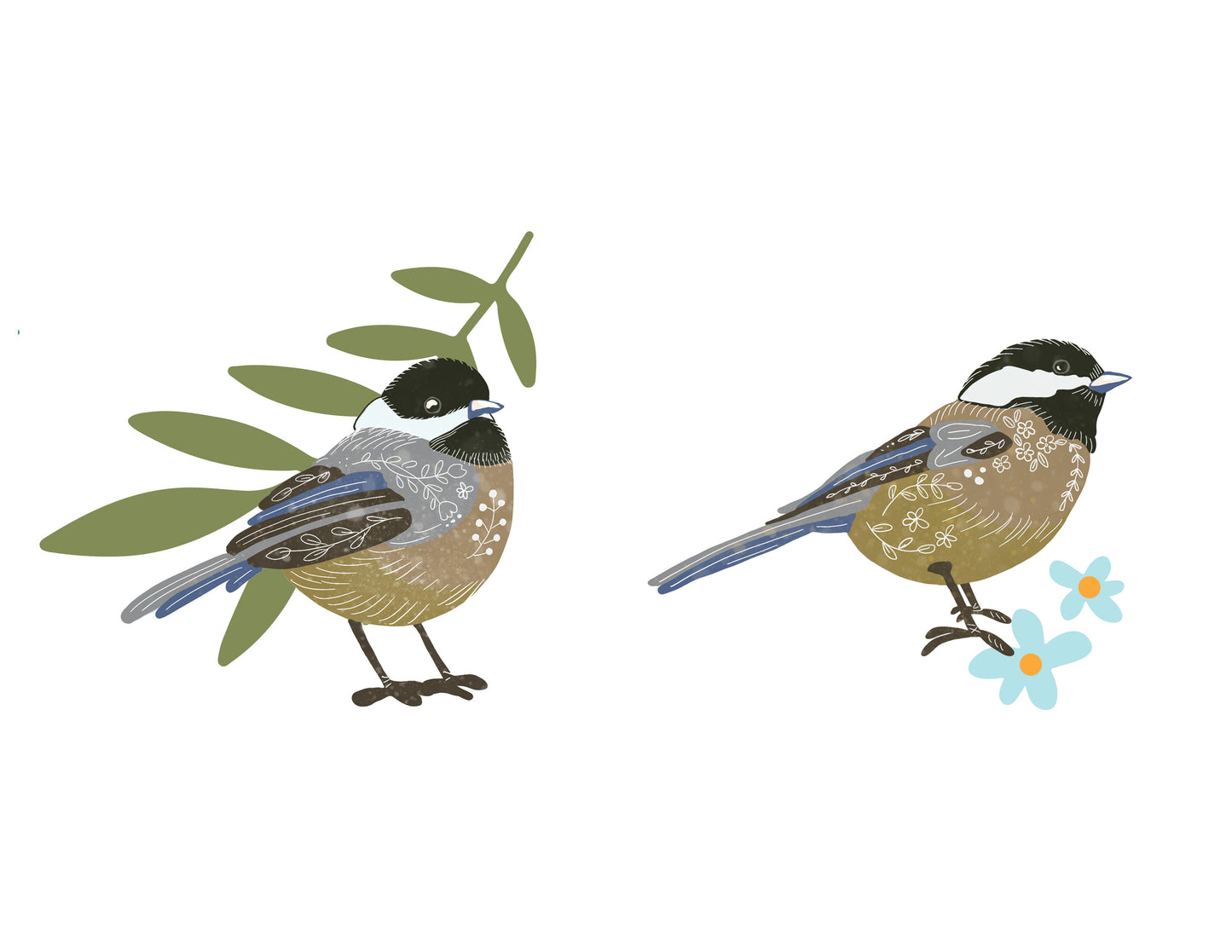 Chickadee Birds