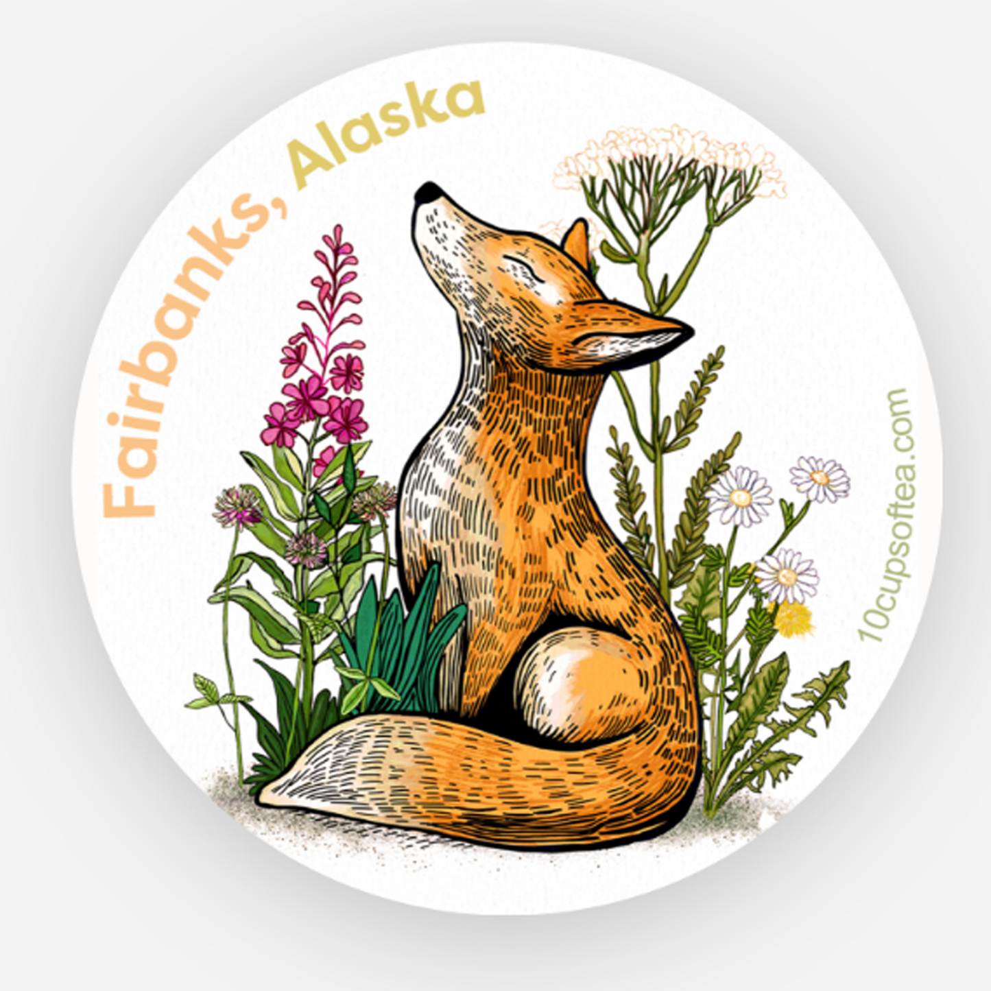 Fairbanks fox