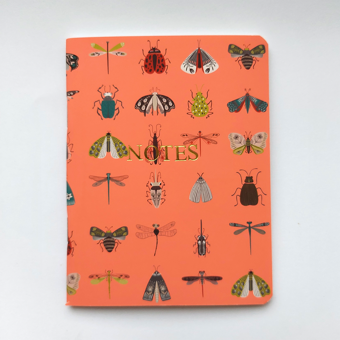 Mooth Notebooks