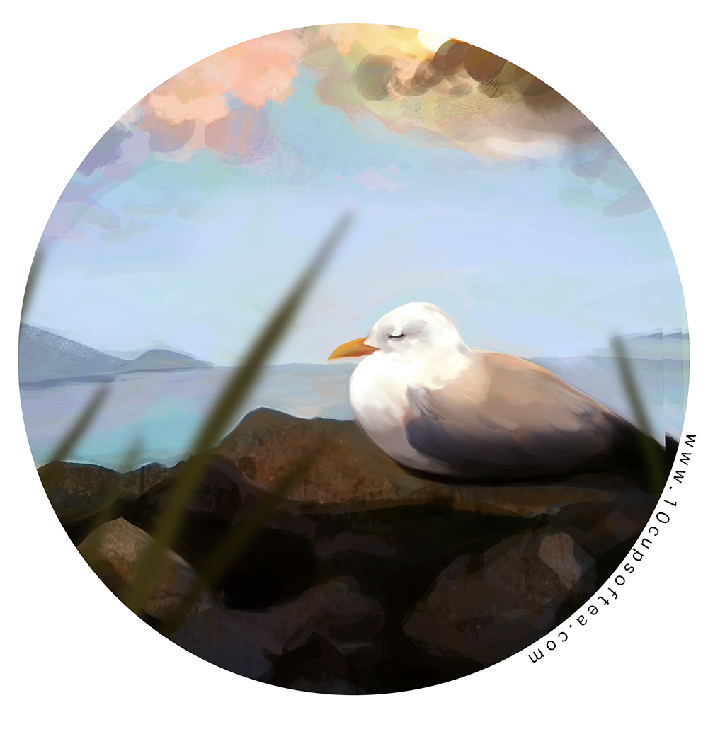Resting seagull