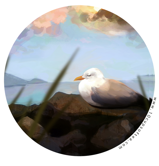 Resting seagull