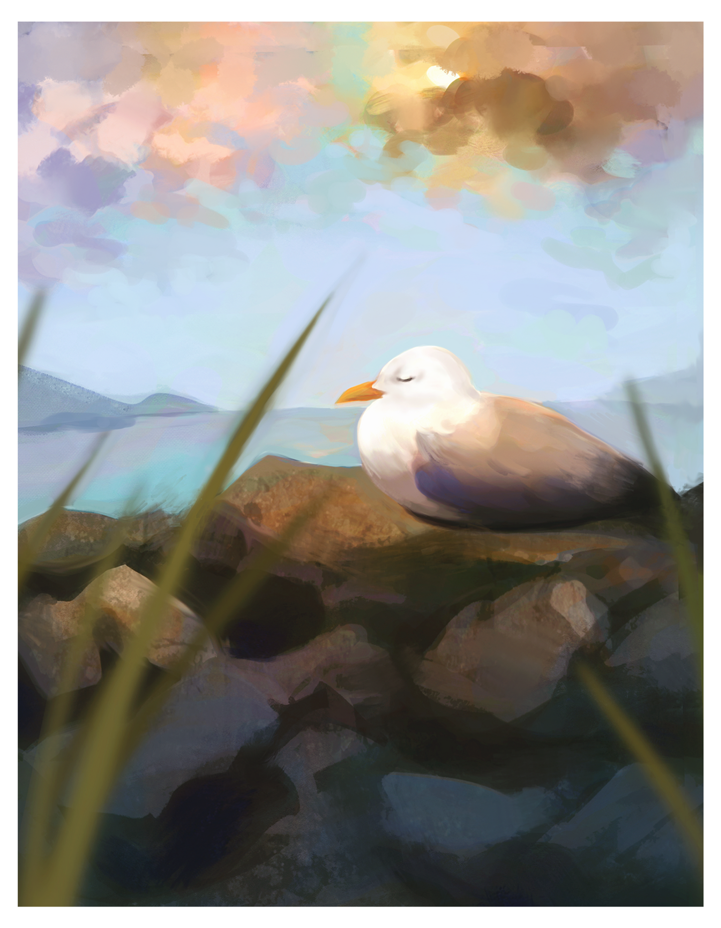 Resting Seagull